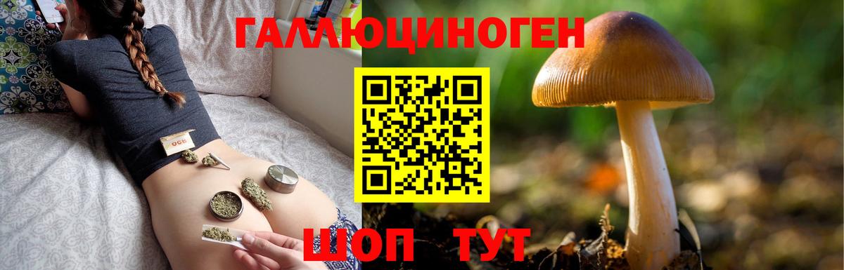 Выкса  Галлюциногенные грибы Cubensis  Вход с VPN 
